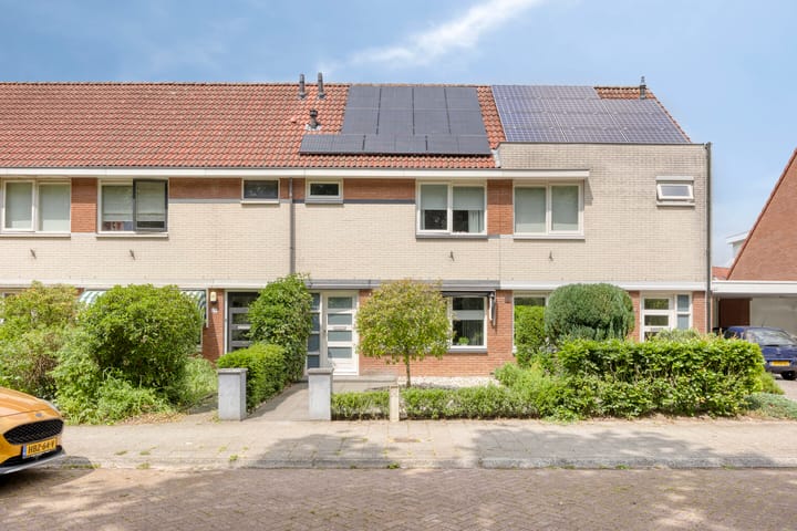 undefined main image