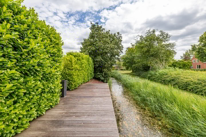 Photo 35 of Fazantstraat 3