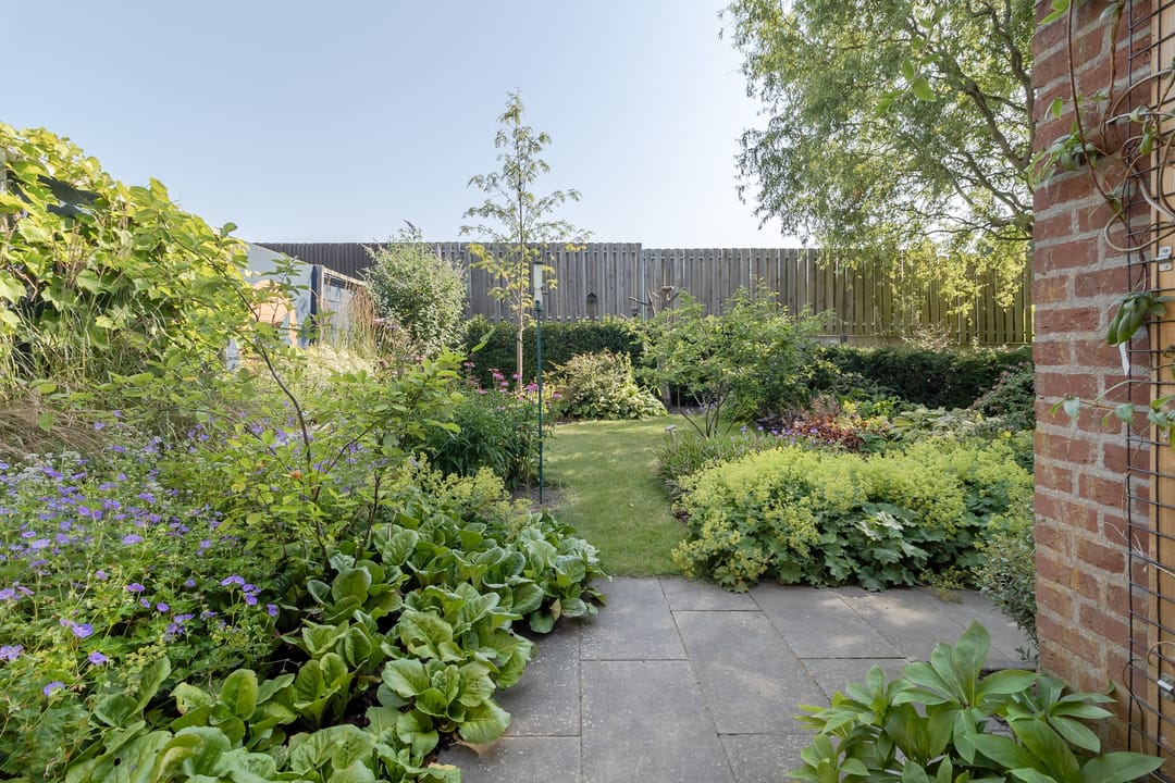 Foto 31 van Meester Delhoofenstraat 21