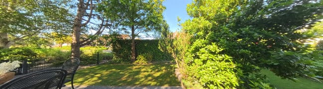 Tuin