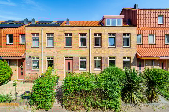 undefined main image