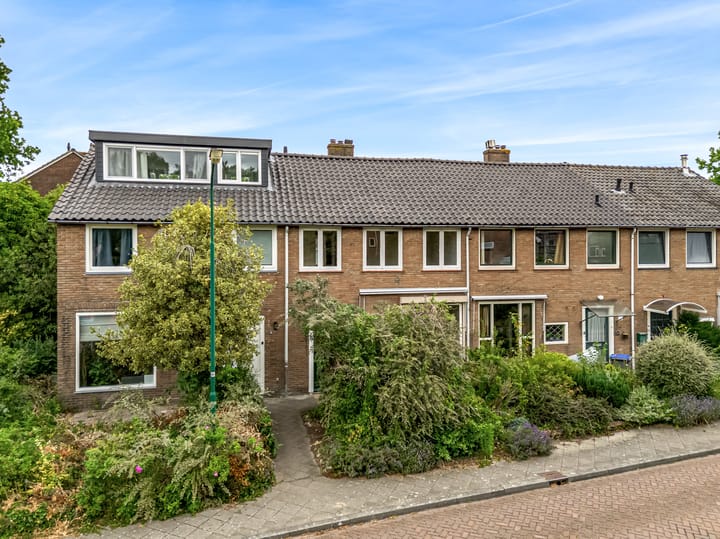 undefined main image