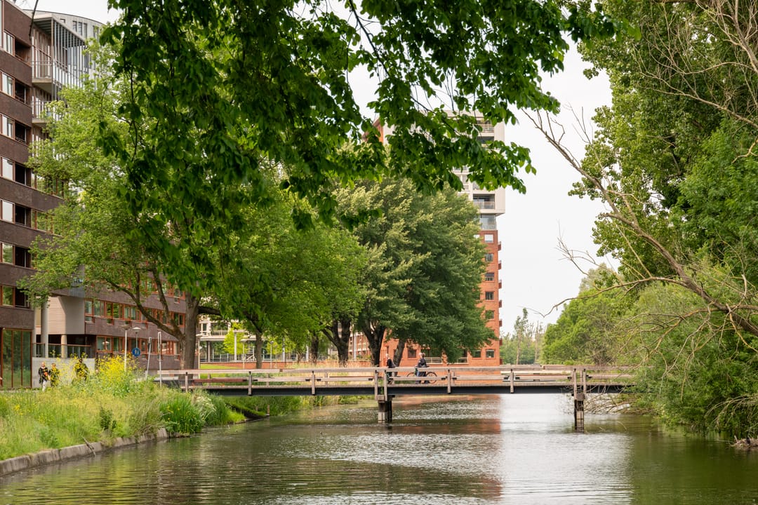 Foto 31 van Vrijzicht 47