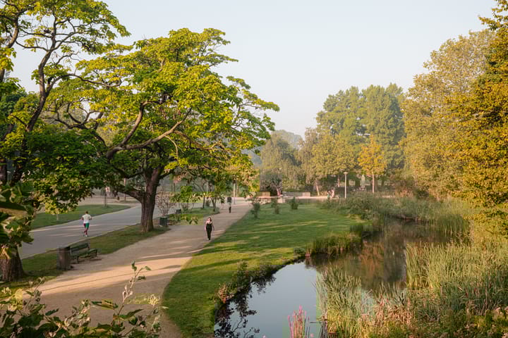 Foto 54 van Borgerstraat 208-H