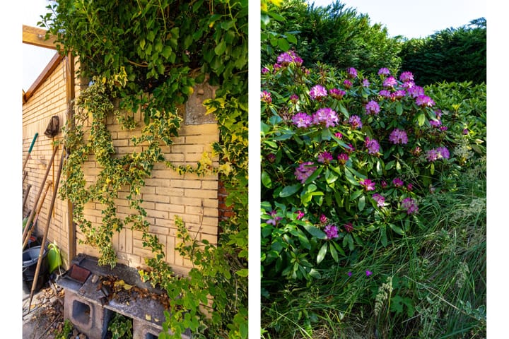 Foto 42 van Geelvinckstraat 21