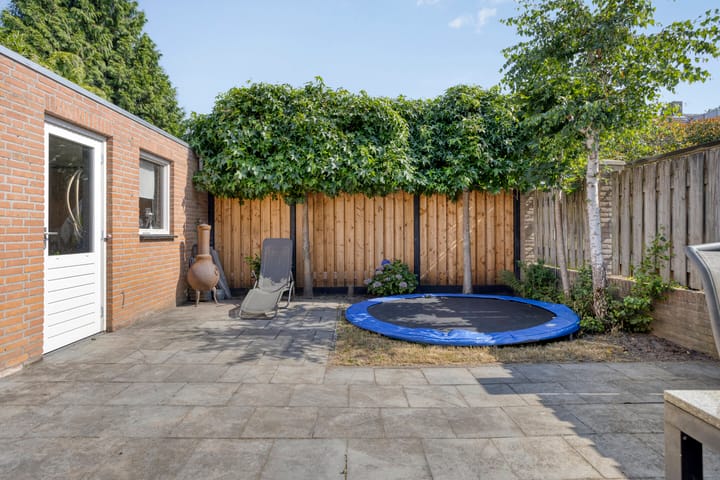 Photo 37 of Mercurius 7