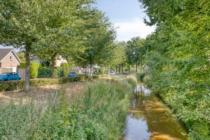 Photo 48 of Mercurius 7