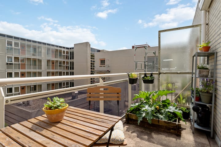 Foto 23 van Ondiep-Zuidzijde 219