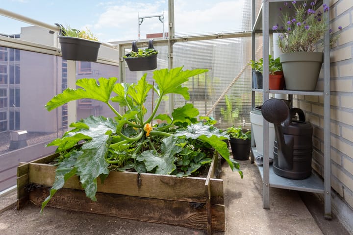 Foto 25 van Ondiep-Zuidzijde 219