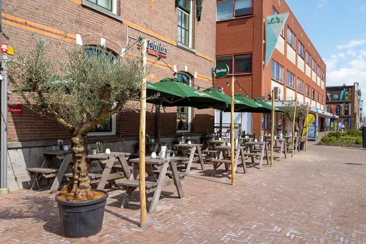 Foto 32 van Ondiep-Zuidzijde 219