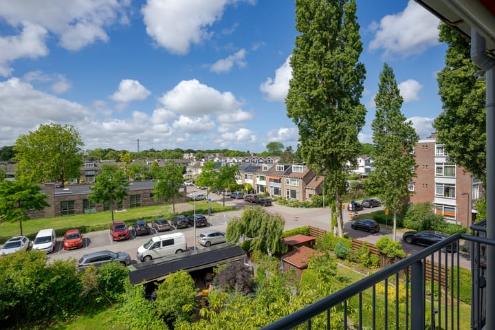 Foto 27 van Raadhuislaan 88