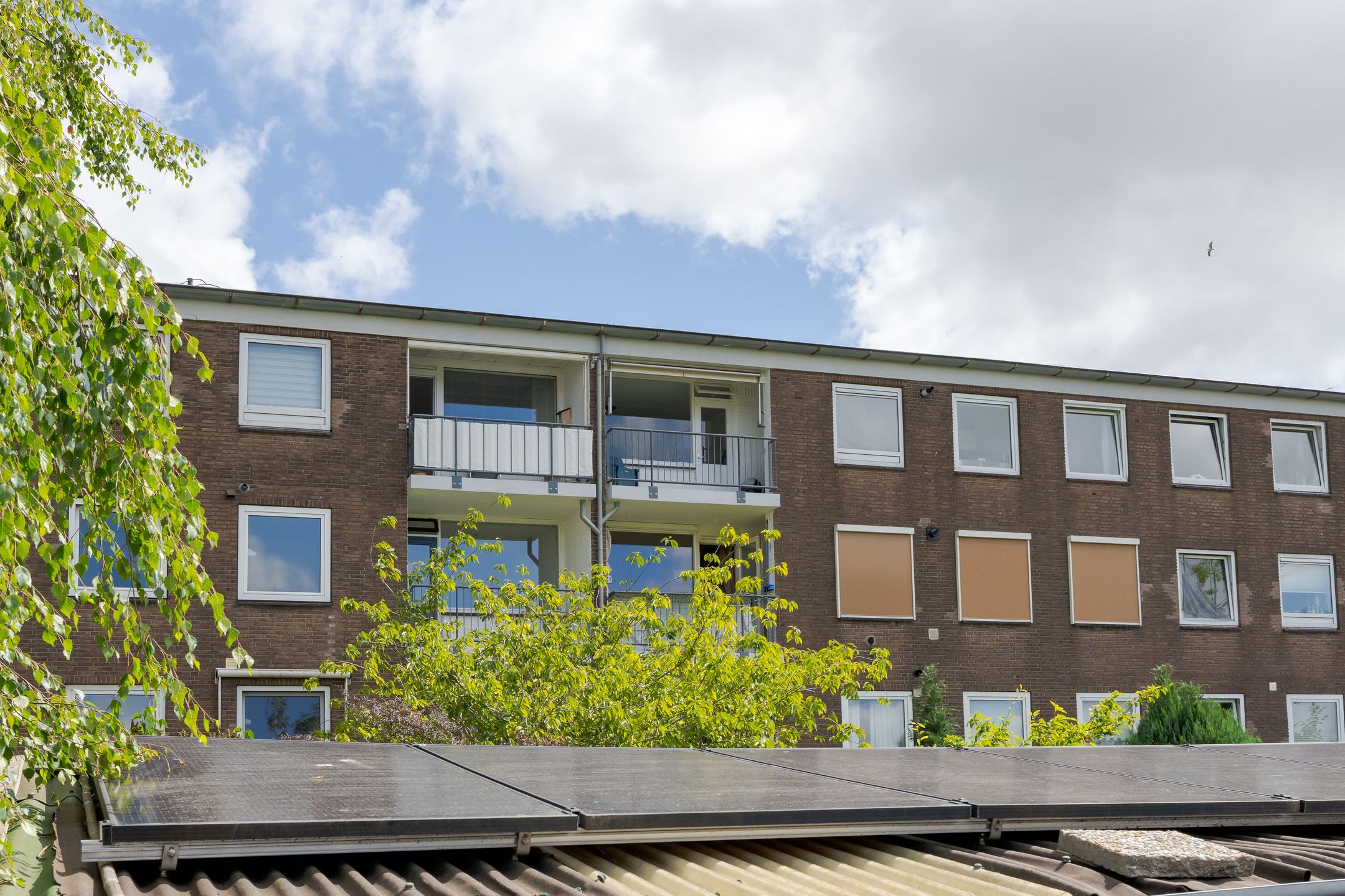 Foto 30 van Raadhuislaan 88