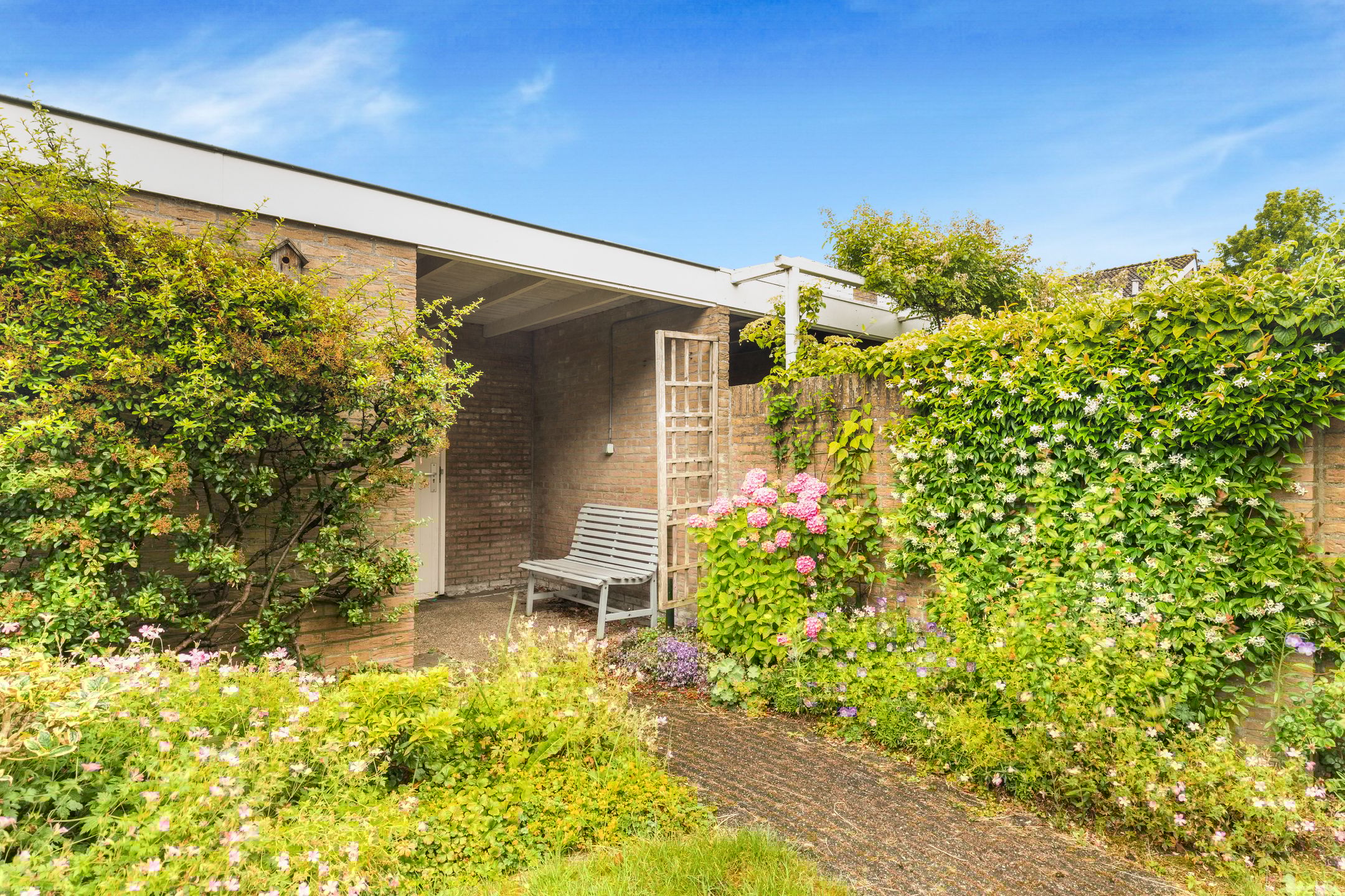 Photo 36 of Sleutelbloem 15