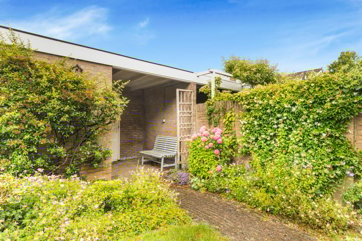 Foto 36 van Sleutelbloem 15