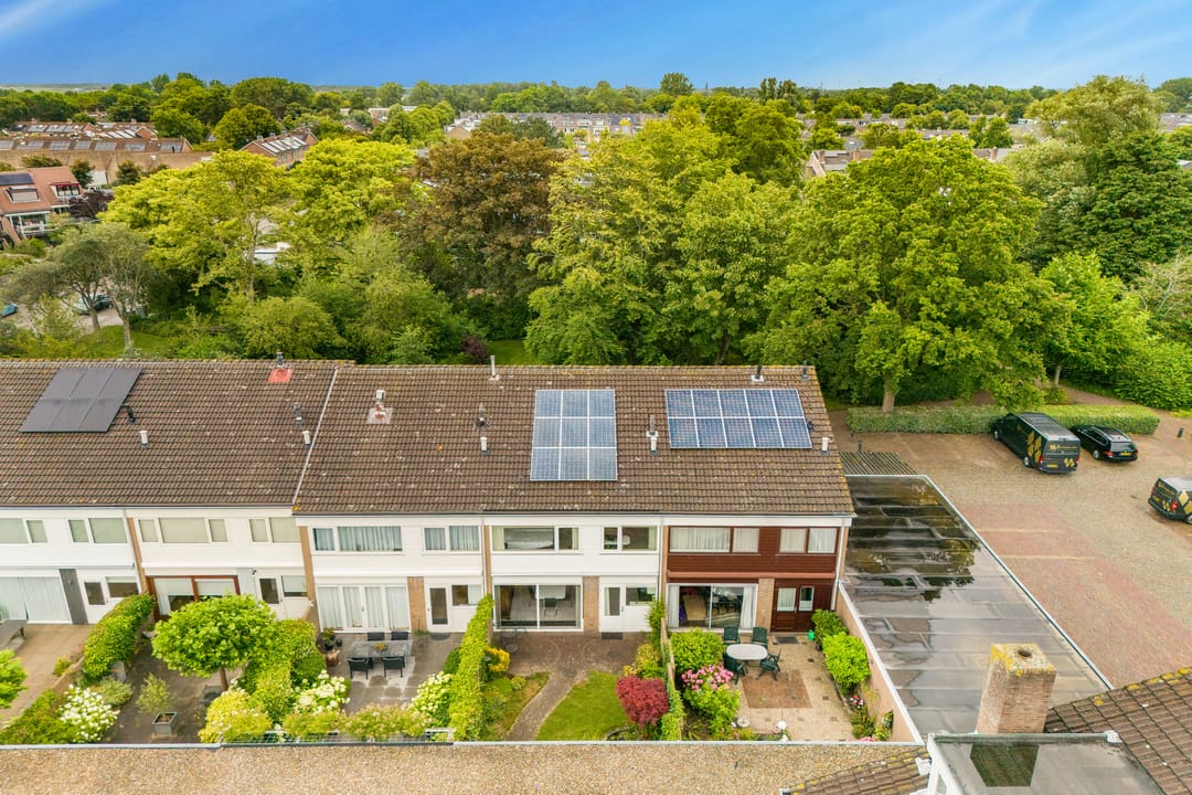 Photo 38 of Sleutelbloem 15