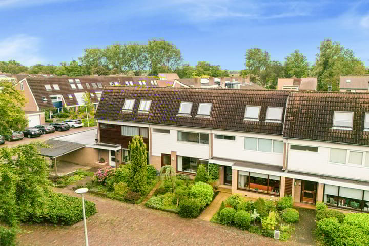 Foto 39 van Sleutelbloem 15