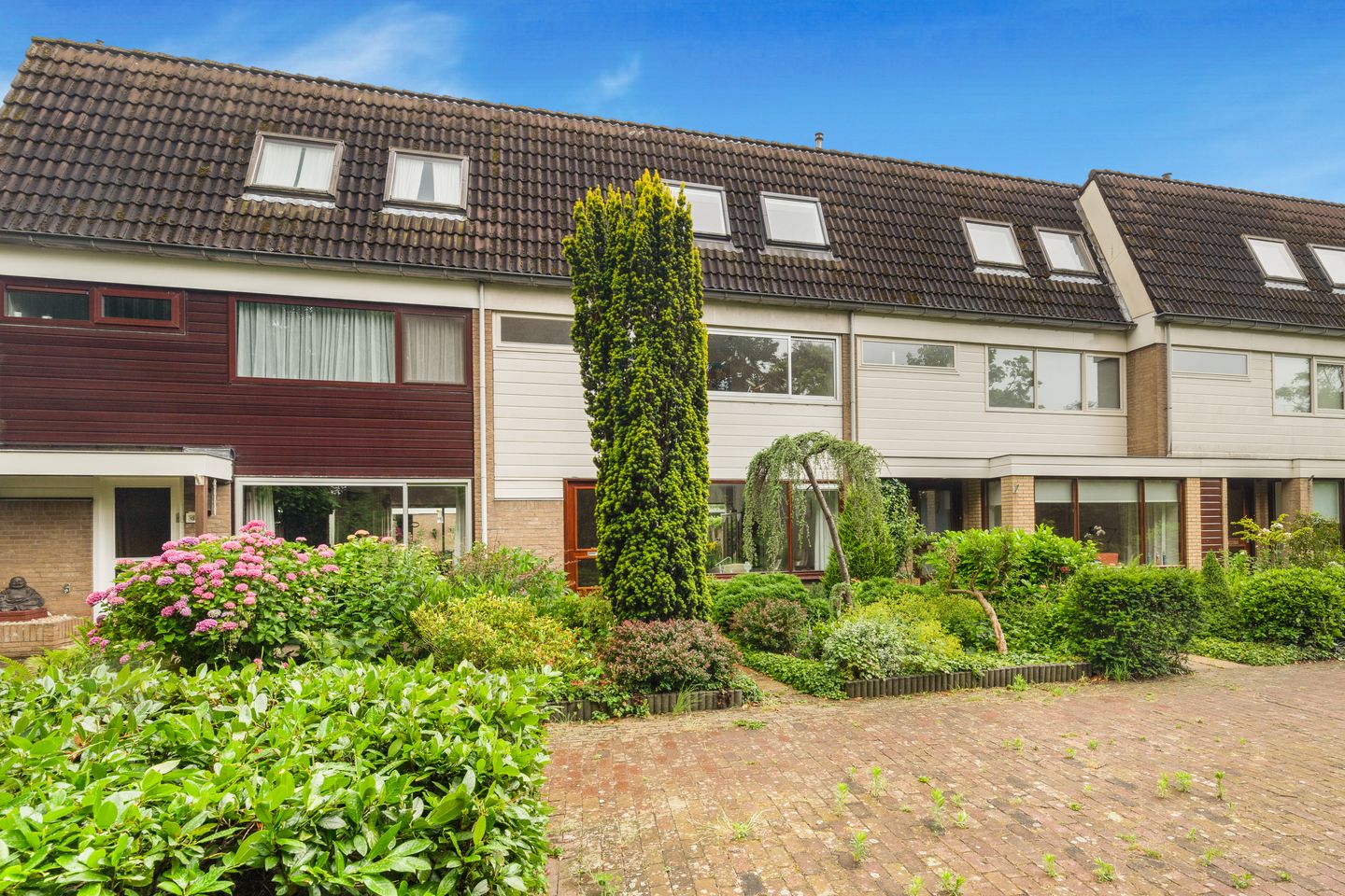 Photo 40 of Sleutelbloem 15