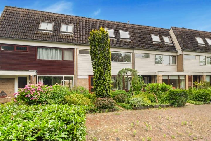 Foto 40 van Sleutelbloem 15