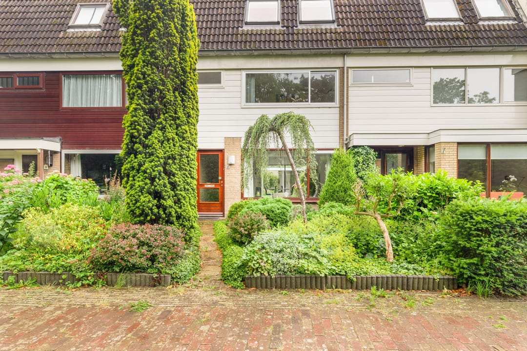 Photo 41 of Sleutelbloem 15