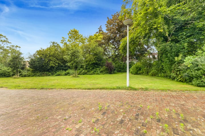 Foto 44 van Sleutelbloem 15