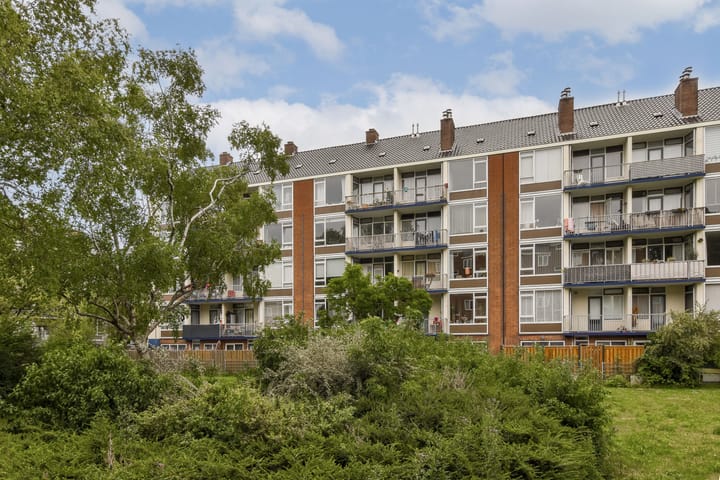 Foto 21 van Honselersdijkstraat 6-3