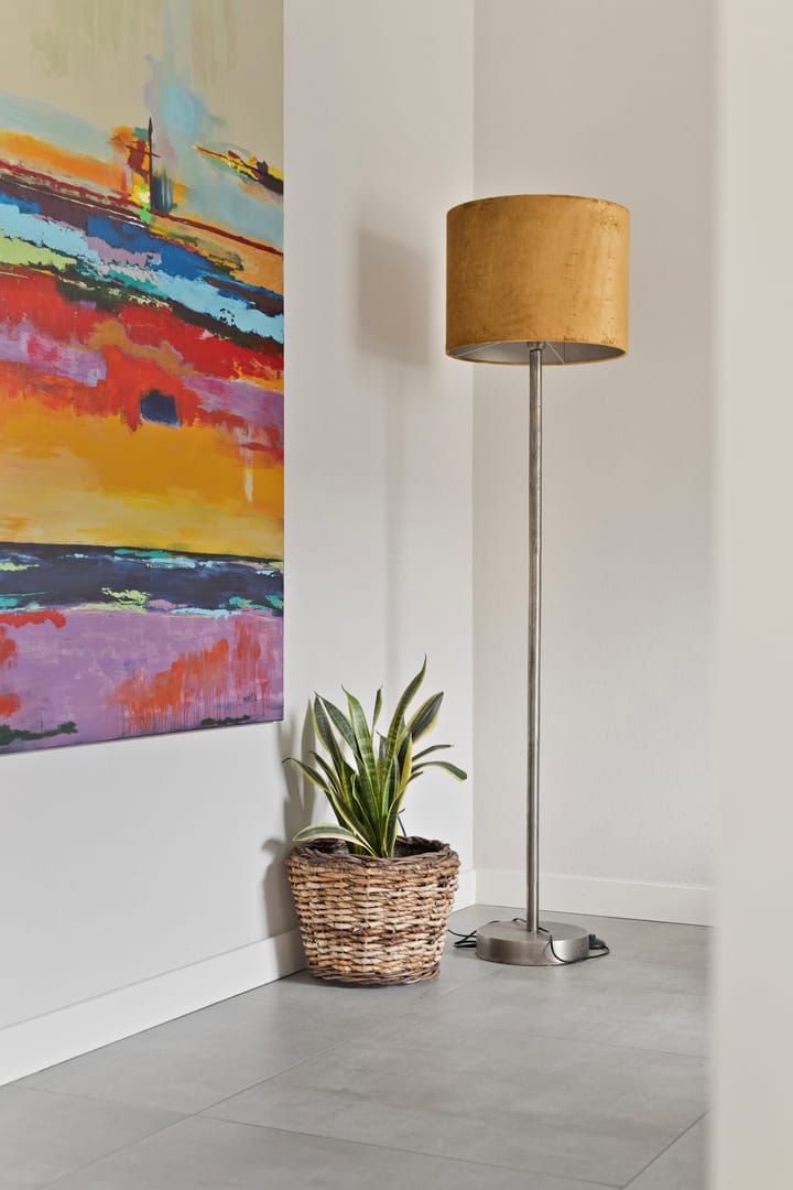 Foto 11 van Jan Dobbelsteenstraat 19