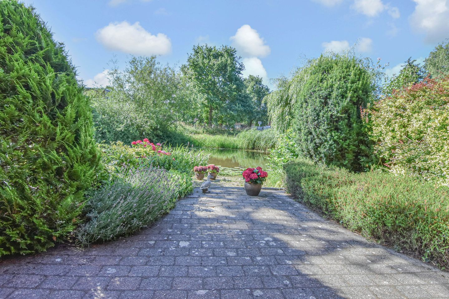 Foto 20 van Wielengahof 24