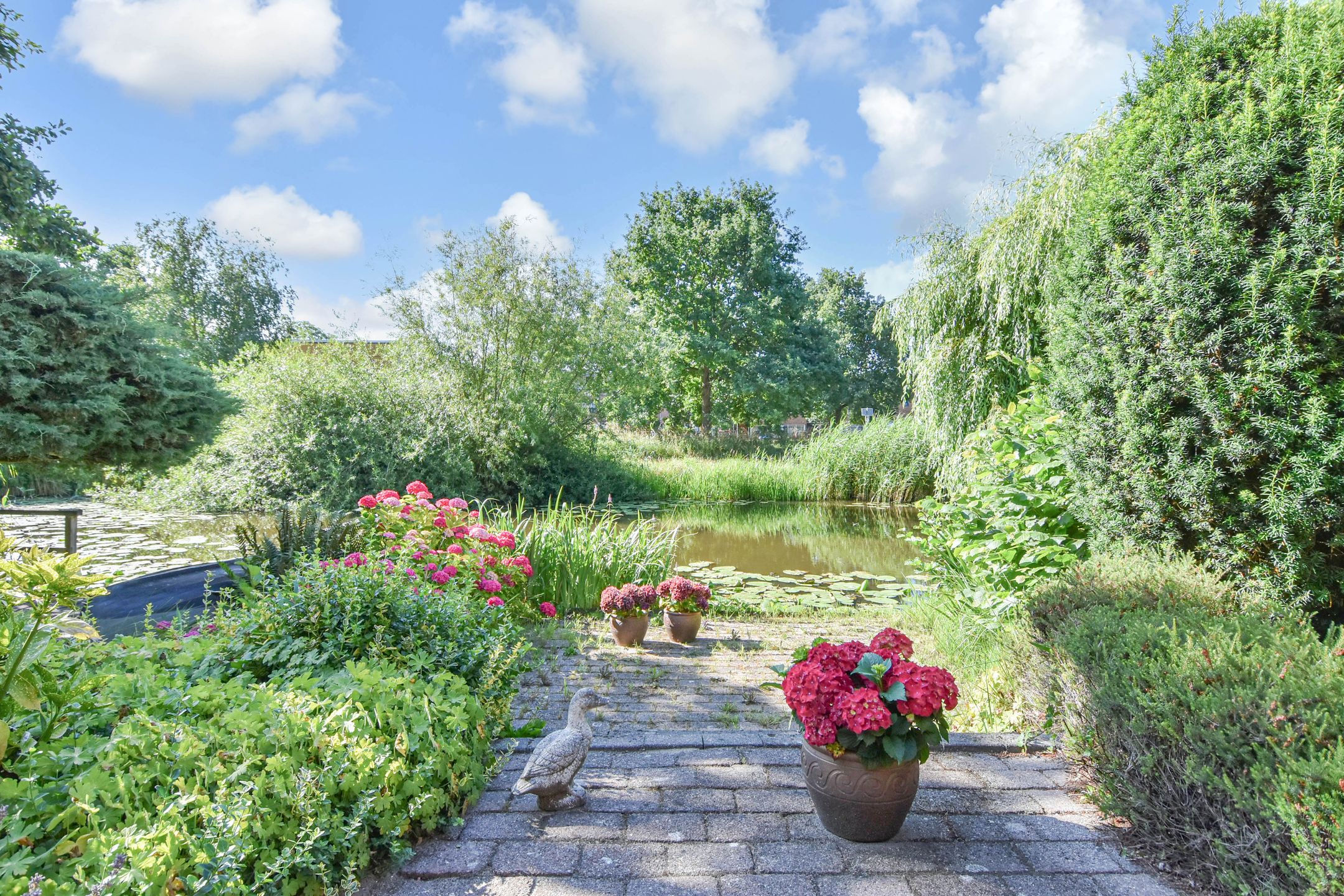 Foto 21 van Wielengahof 24