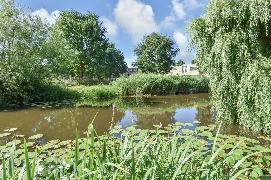 Foto 22 van Wielengahof 24