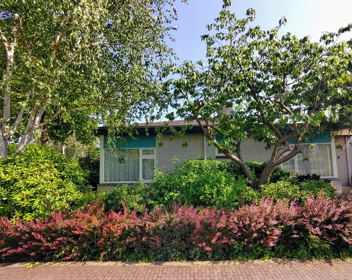 Foto 7 van Corry Vonklaan 6