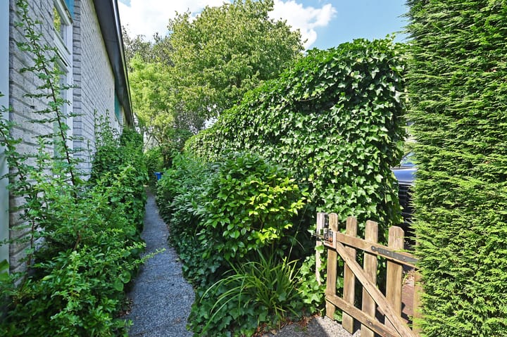 Foto 58 van Corry Vonklaan 6