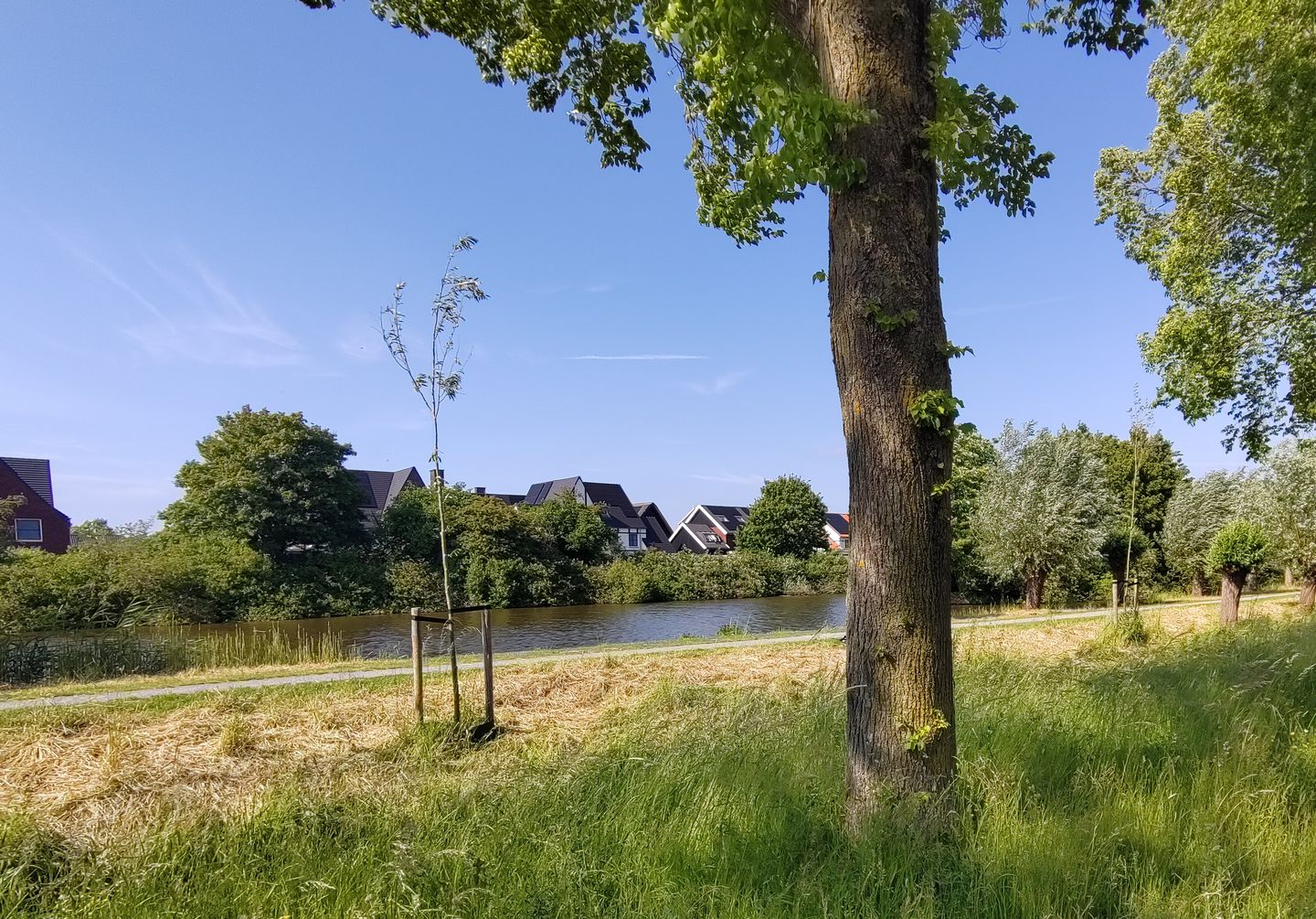 Foto 65 van Corry Vonklaan 6