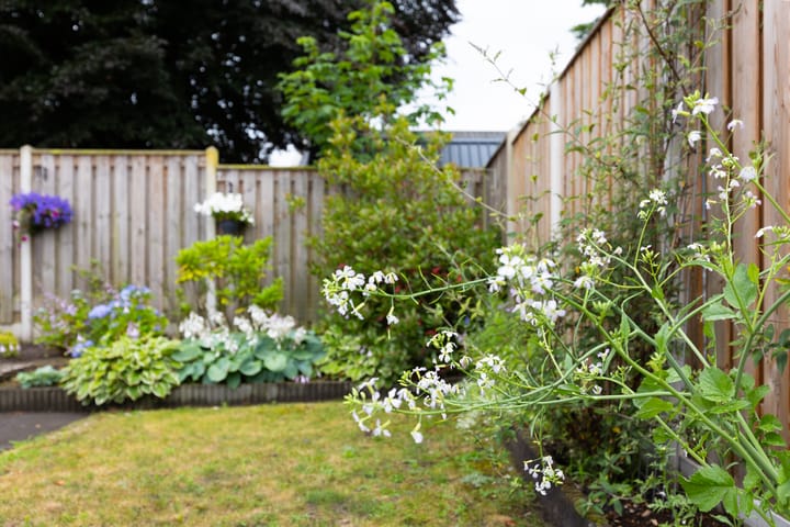 Foto 39 van Lichtenvoordseweg 32