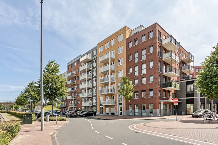 Foto 1 van Westerschelde 39