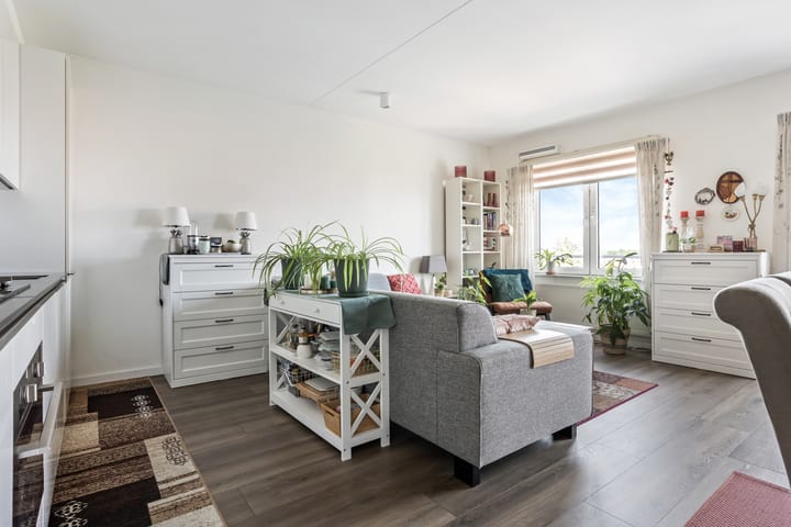 Foto 2 van Westerschelde 39