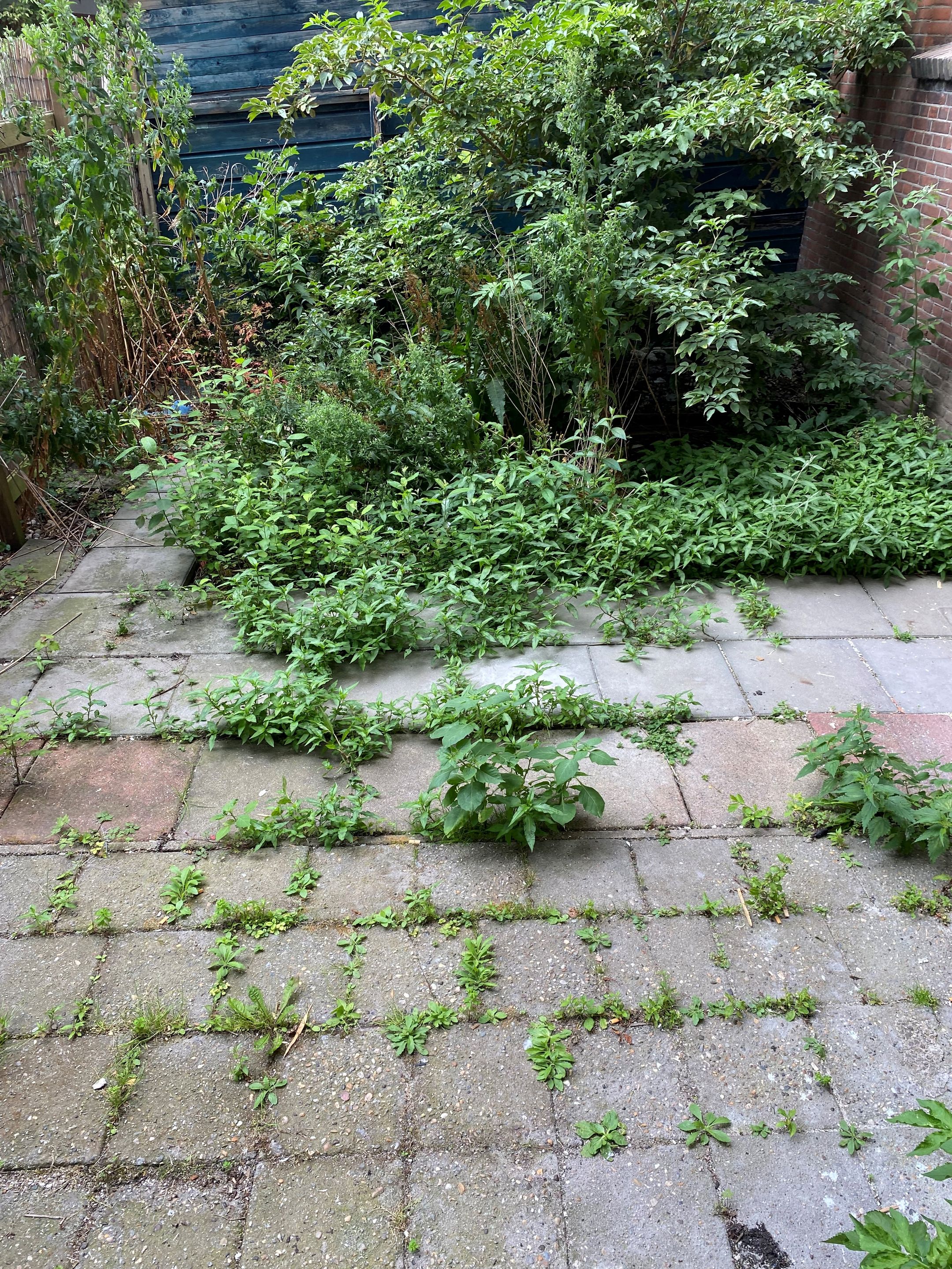 Foto 18 van Lange Hilleweg 189-B