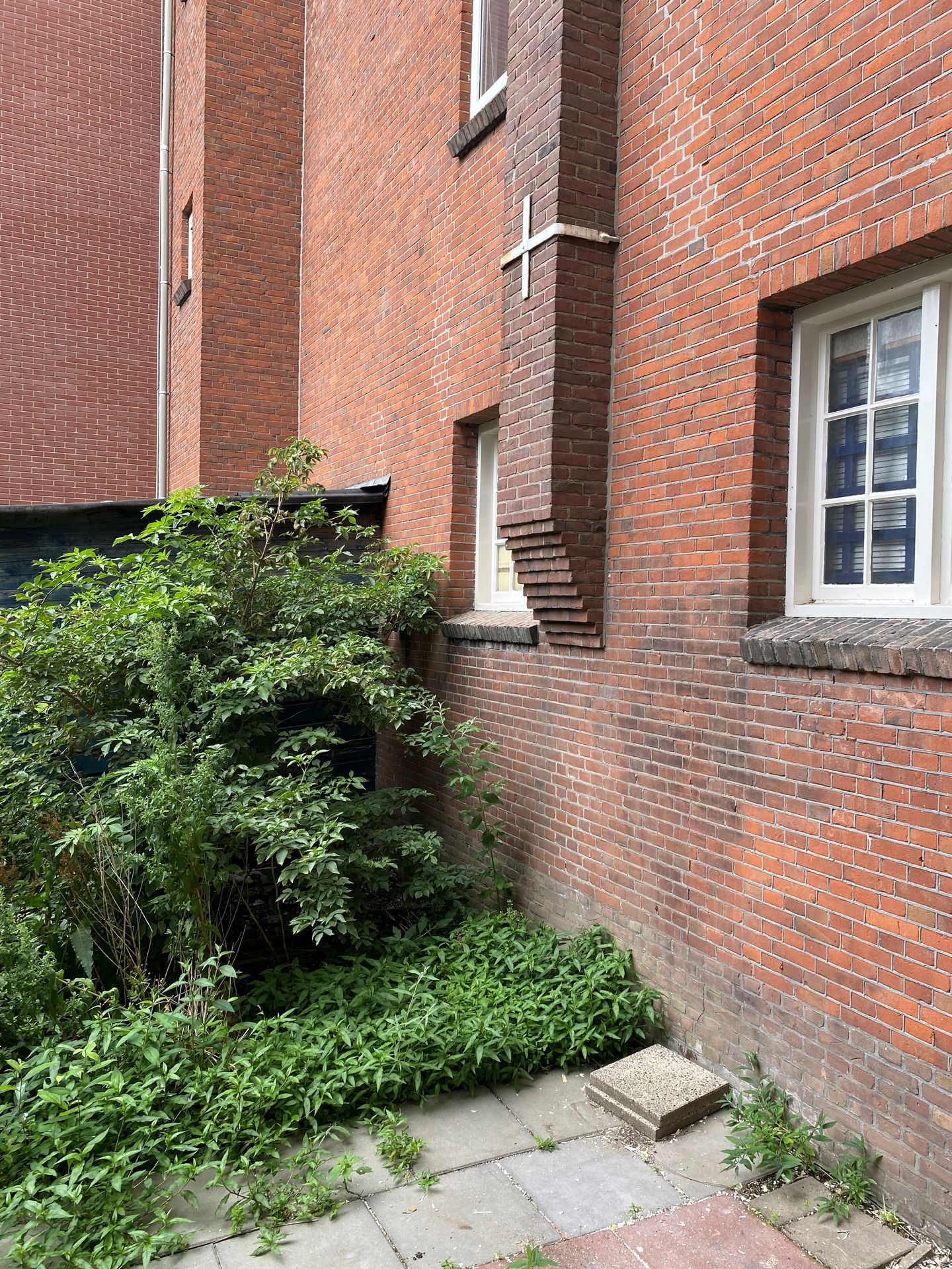 Foto 19 van Lange Hilleweg 189-B