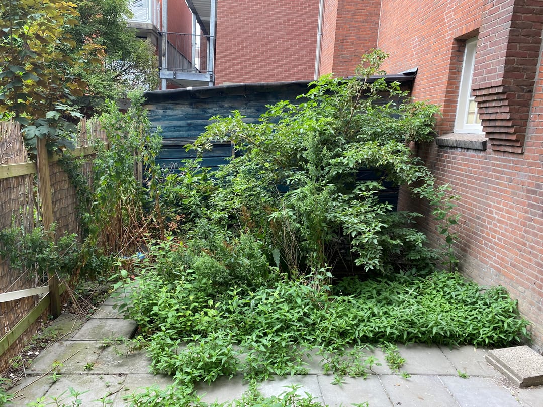 Foto 22 van Lange Hilleweg 189-B