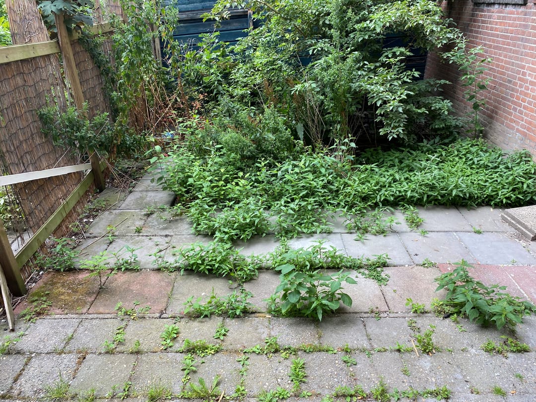 Foto 23 van Lange Hilleweg 189-B