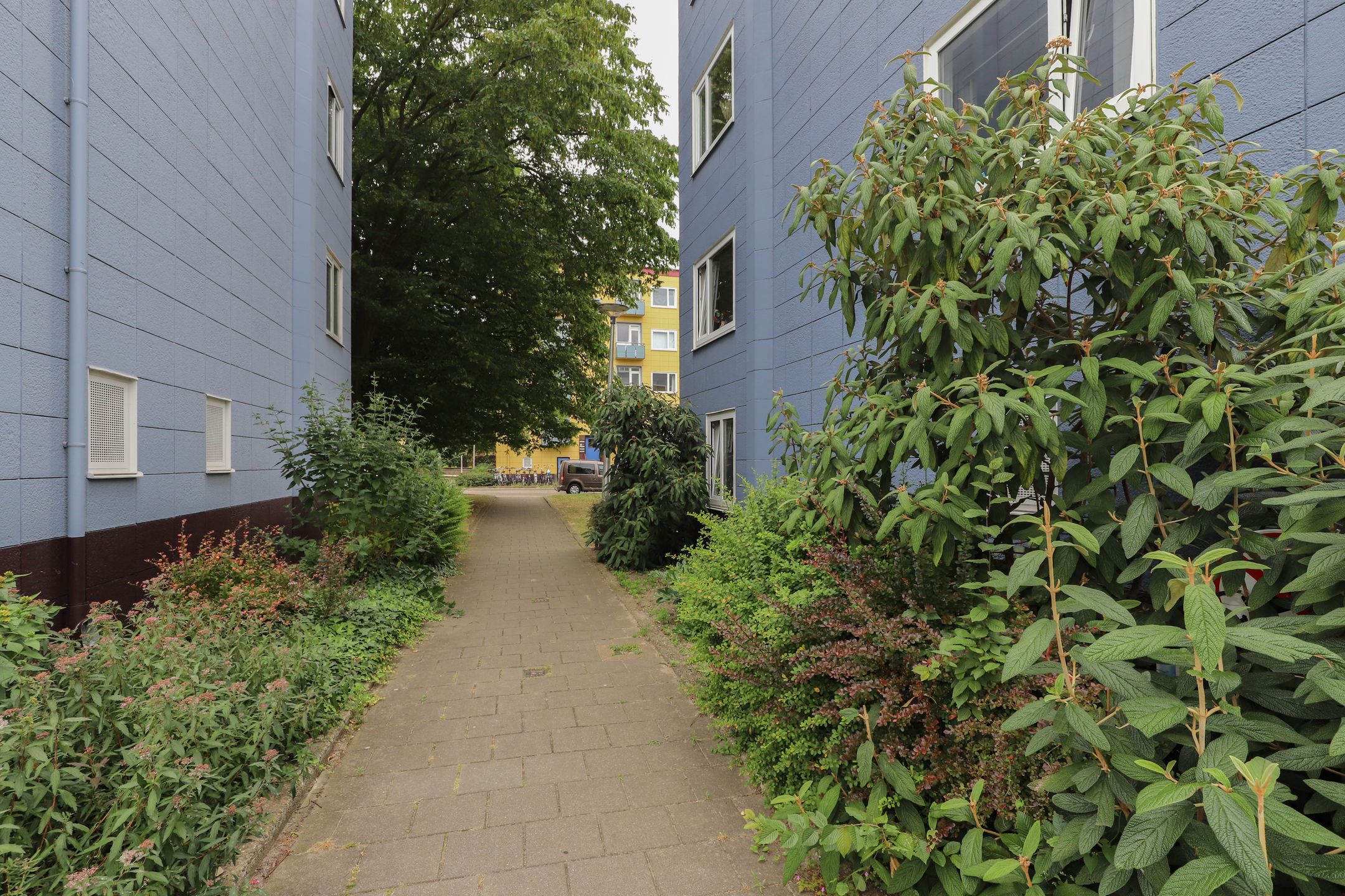 Foto 39 van Wijnbesstraat 63