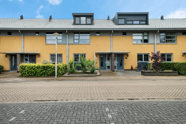 Foto 1 van Kolibrievlinder 28