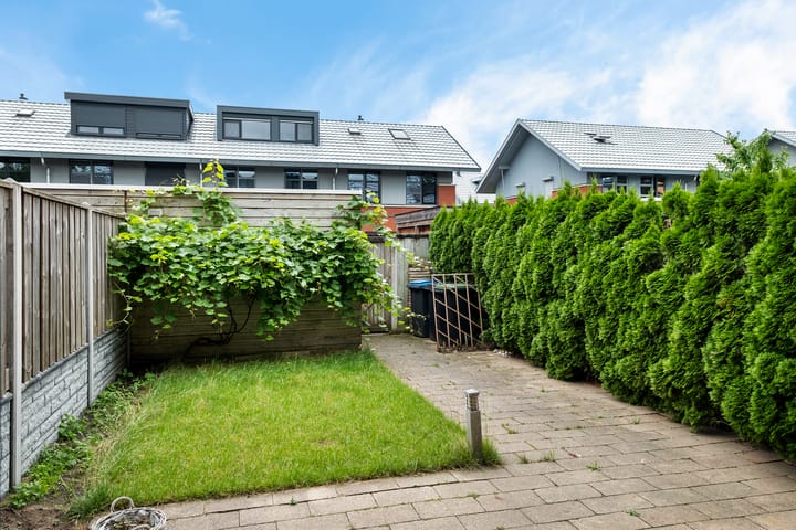 Foto 30 van Kolibrievlinder 28