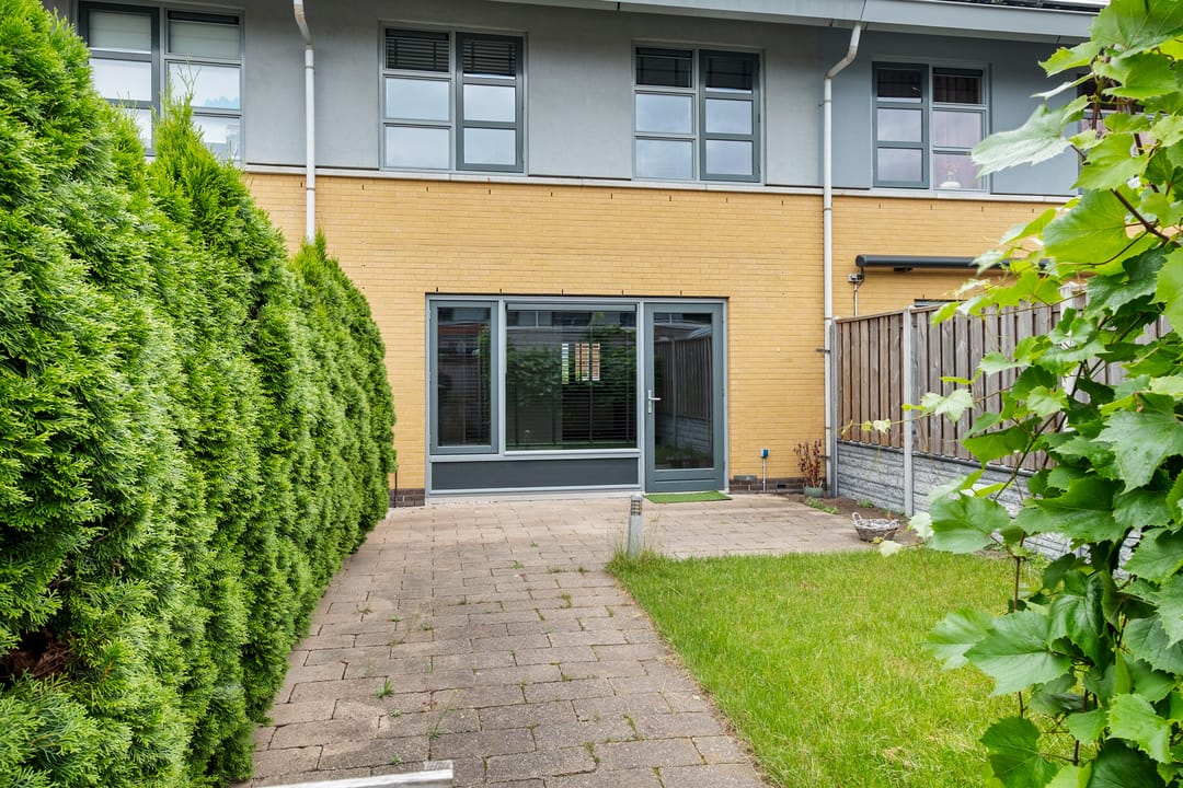 Foto 31 van Kolibrievlinder 28