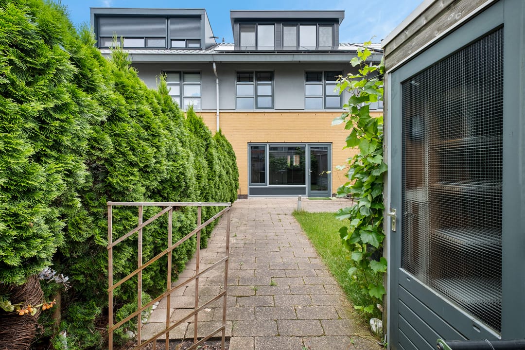 Foto 32 van Kolibrievlinder 28