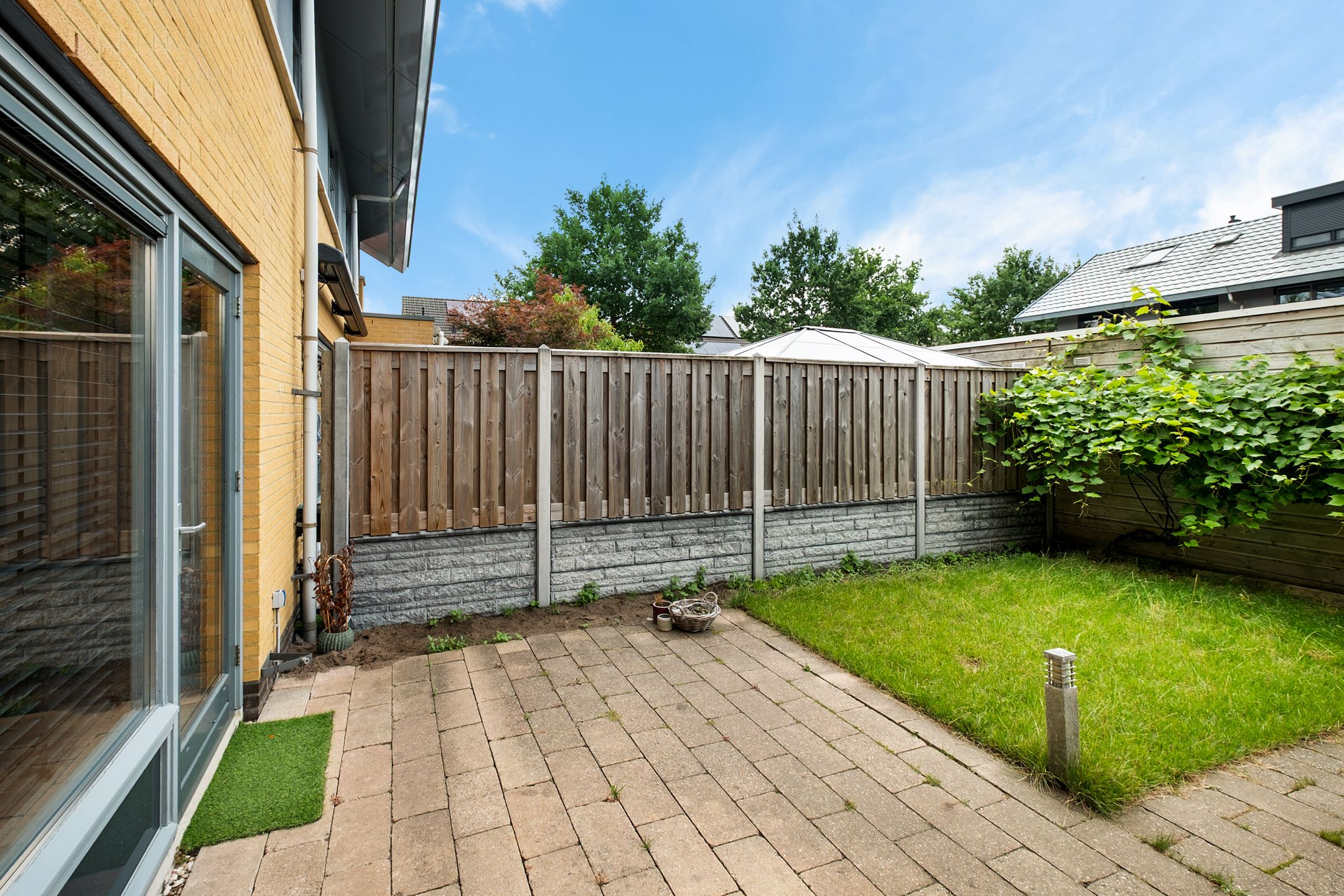 Foto 33 van Kolibrievlinder 28