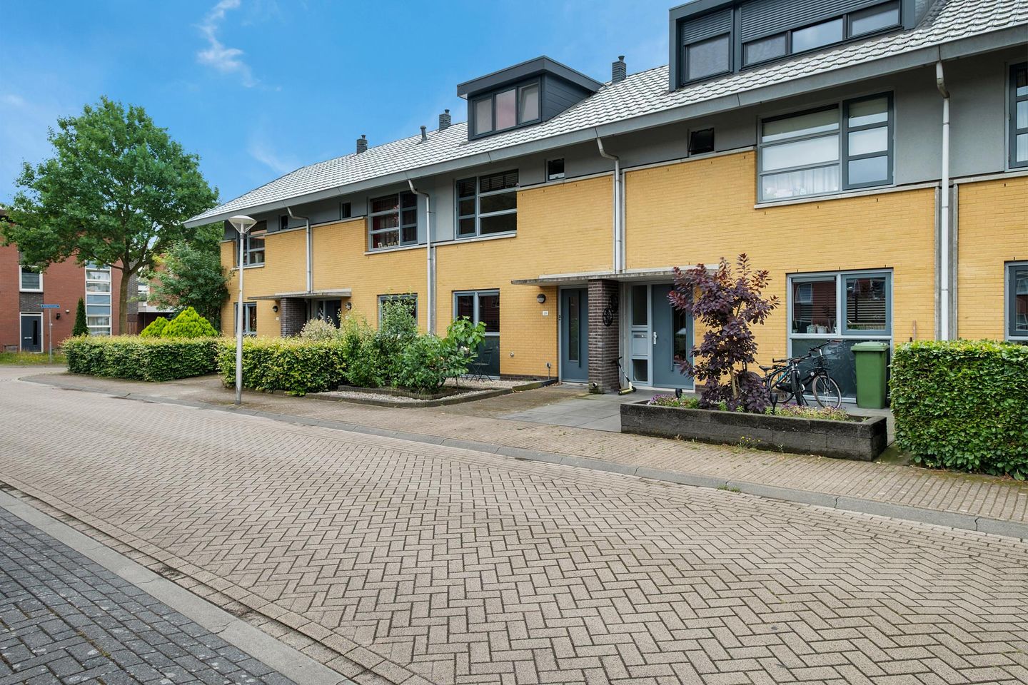 Foto 35 van Kolibrievlinder 28