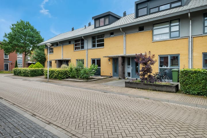 Foto 35 van Kolibrievlinder 28