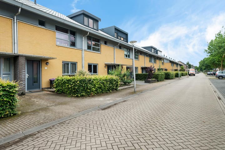 Foto 36 van Kolibrievlinder 28