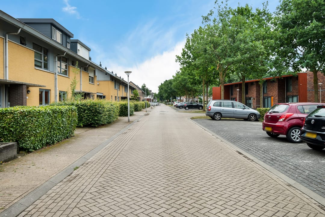 Foto 37 van Kolibrievlinder 28