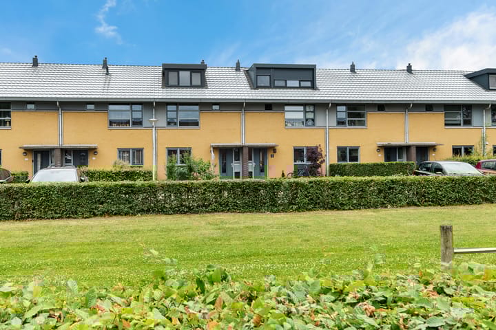 Foto 38 van Kolibrievlinder 28